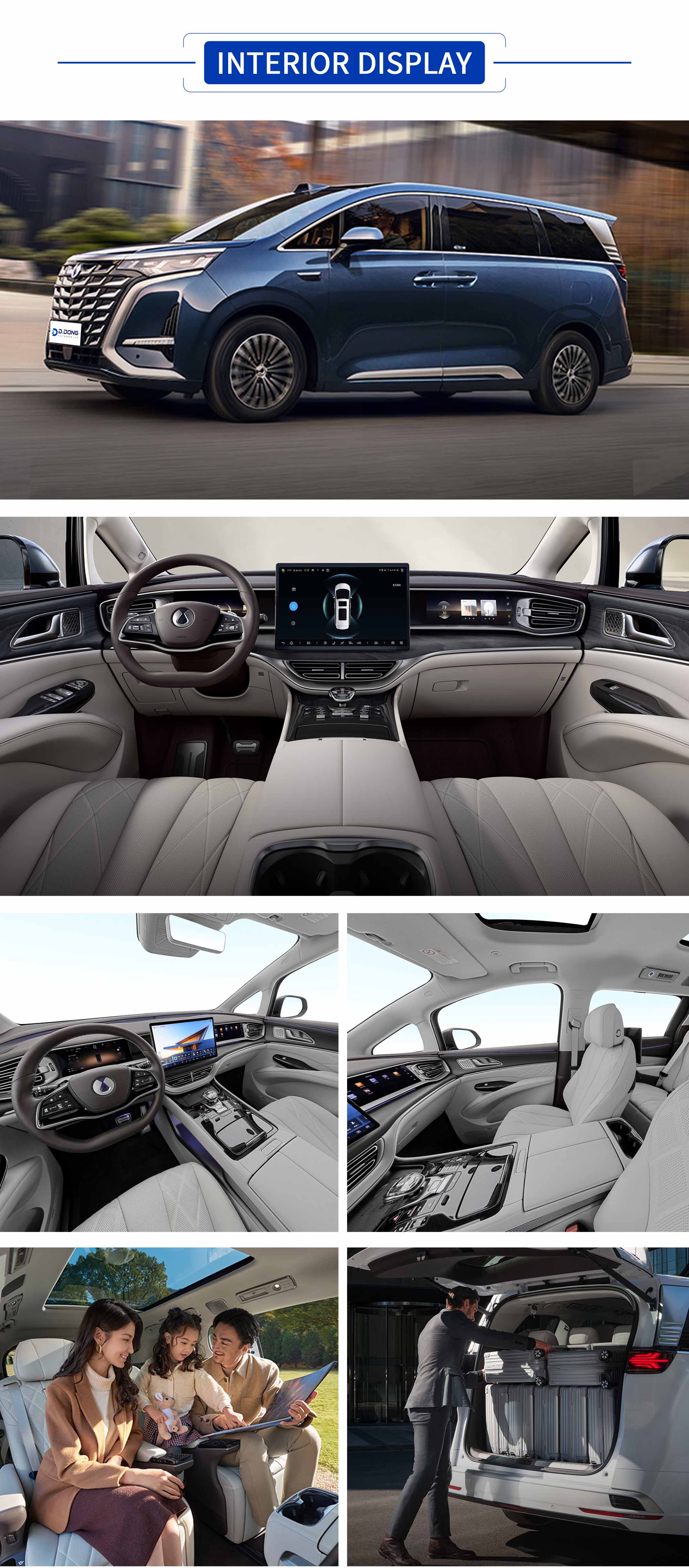 Denza D9 DM All Colors,Denza D9 DM All Interior Display